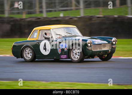 Una Austin Healey Sprite Sports Car Racing ad Oulton Park motore circuito di gara Cheshire England Regno Unito Regno Unito Foto Stock