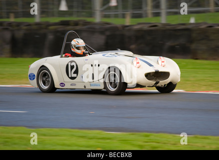 Austin Healey Sprite Sports Car Racing ad Oulton Park motore circuito di gara Cheshire England Regno Unito Regno Unito Foto Stock