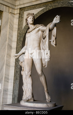 Apollo Belvedere statua è una copia romana in marmo del periodo imperiale di un greco statua in bronzo.Vaticano Foto Stock