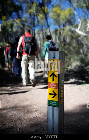 Paio di escursioni presso il Wilpena Pound, Flinders Ranges, Sud Australia. Essi stanno seguendo un sentiero segnavia. Foto Stock