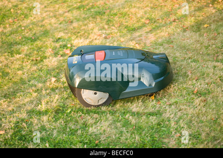 Robot automatico tosaerba taglio di erba Foto Stock