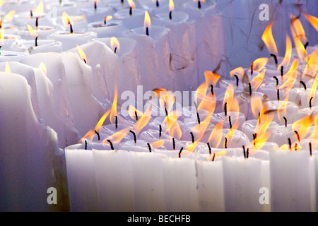 Candele accese a Bongeunsa tempio buddista, Seoul, Corea del Sud Foto Stock