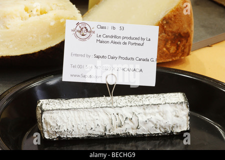 Le Cendrillon (Cinderela), un morbido formaggio di capra di Quebec, Canada, vincitore assoluto al world CHEESE AWARDS 2009 Foto Stock