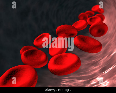 Le cellule rosse del sangue (3D'illustrazione). Foto Stock