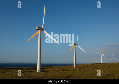 Le turbine eoliche in un campo, Pakini Nui progetto eolico, South Point, Big Island, Hawaii, STATI UNITI D'AMERICA Foto Stock