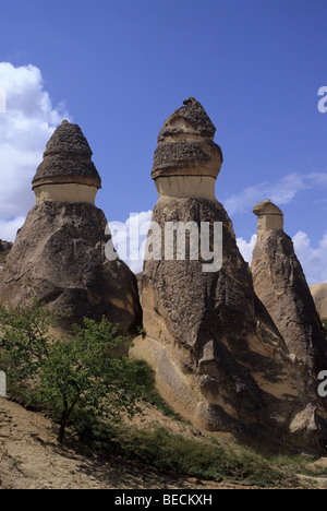 Camini di Fata, monaci' valley, Cappadocia, Turchia centrale Foto Stock