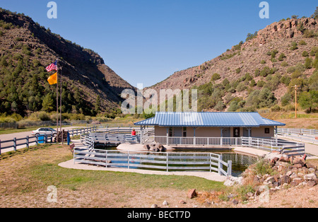 Red River State Allevamento di Trote vicino al Red River, Nuovo Messico. Foto Stock