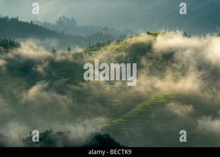 Terrazze di riso della minoranza Basha, Basha, Guizhou, Cina del Sud Foto Stock