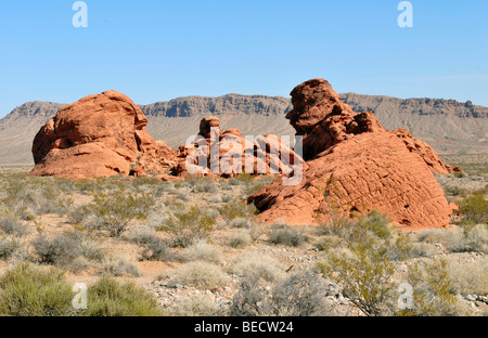 Rosso e marrone formazioni di roccia, la Valle del Fuoco del parco statale, a nord-est di Las Vegas, Nevada, STATI UNITI D'AMERICA Foto Stock