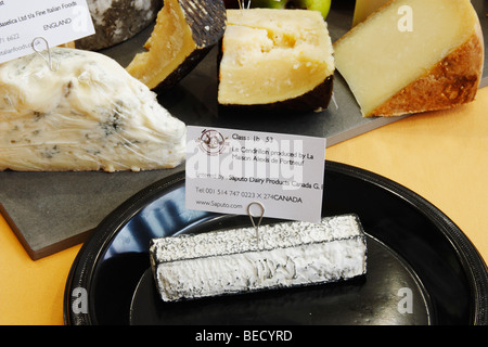 Le Cendrillon (Cinderela), un morbido formaggio di capra di Quebec, Canada, vincitore assoluto al world CHEESE AWARDS 2009 Foto Stock