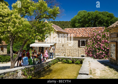 Ethno-Museum, Parco Nazionale di Krka, Dalmazia, Croazia, Europa Foto Stock