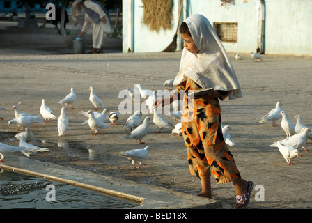 Balkh provincia . Mazar-i-Sharif. Santuario di Hazrat Ali. Ragazza colombe di alimentazione. Foto Stock