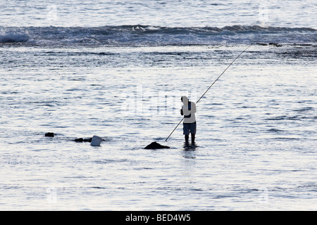 Uomo locali con attività di pesca in acque poco profonde nel tardo pomeriggio nelle Isole Cook Foto Stock