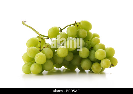 Grappolo di uva verde isolate su uno sfondo bianco Foto Stock