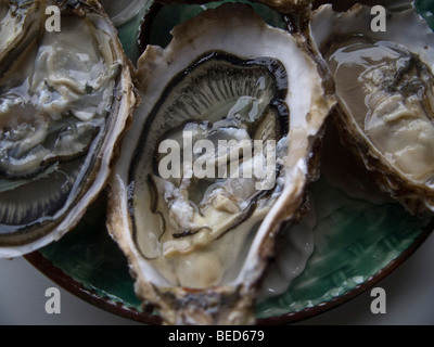 Aprire le ostriche, Francia, Europa Foto Stock