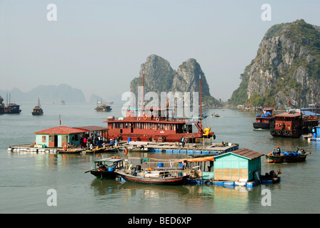 Villaggio galleggiante con case galleggianti di fronte all'isola rocciosa, la baia di Ha Long, Vietnam Asia Foto Stock