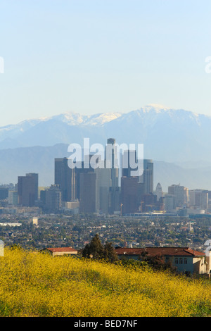 Los Angeles Downtown Inquinamento atmosferico Skyline Foto Stock