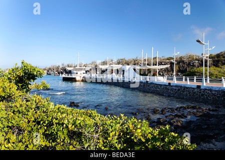 Principali pontile di sbarco per le navi e barche, Puerto Ayora, Isola di Santa Cruz, infaticabile Isola Arcipelago delle Galapagos, Ecuador, Foto Stock