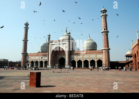 Vista parziale della Jama Masjid, la Moschea del Venerdì, Delhi, Rajasthan, India del Nord, Asia Foto Stock