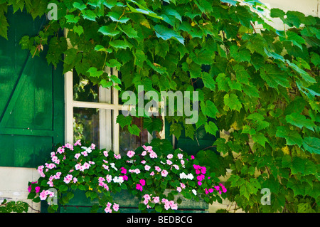 Cottage in Eastern Townships Quebec Foto Stock