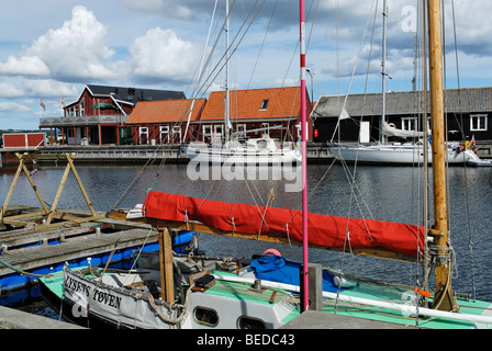 Porta con magazzini, Saeby, nello Jutland, Danimarca, Europa Foto Stock