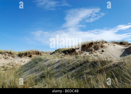 Dune di sabbia in movimento, Rabjerg Mile, Jutland, Danimarca, Europa Foto Stock