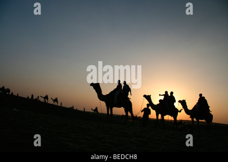 Persone a cavallo di cammelli al tramonto, vicino a Jaisalmer, India, Asia del Sud Foto Stock