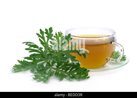 Tee Wermut - tea assenzio 01 Foto Stock