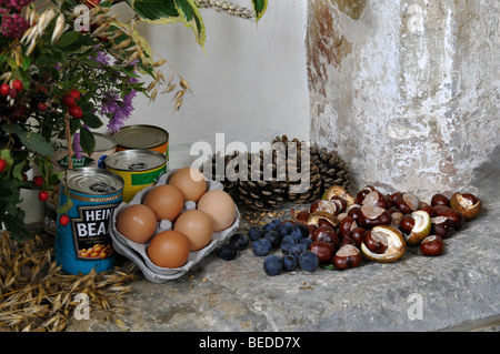 Harvest Festival display nella chiesa di S. Maria, Priors Hardwick, Warwickshire, Inghilterra, Regno Unito Foto Stock