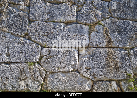 Dettaglio di una cinta di mura poligonali di Alatri, Italia. Foto Stock