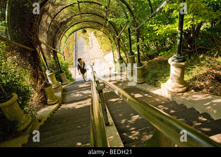 Il parco di Belleville, Parigi Foto Stock