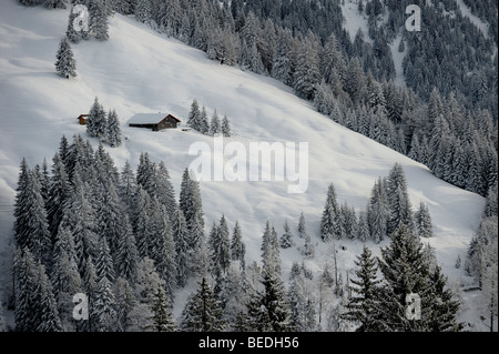 Coperte di neve mountain lodge in una foresta invernale, Balderschwang, Superiore Allgaeu, Baviera, Germania, Europa Foto Stock