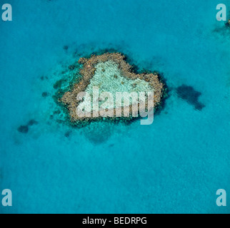 Vista aerea dell'oceano pavimento, cuore Reef, a forma di cuore, reef della Grande Barriera Corallina Area del Patrimonio Mondiale, della Grande Barriera Corallina, UNES Foto Stock