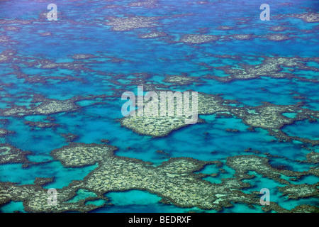 Vista aerea dell'oceano pavimento, il fuso a snodo Reef, della Grande Barriera Corallina Area del Patrimonio Mondiale, della Grande Barriera Corallina, patrimonio mondiale dell UNESCO Foto Stock