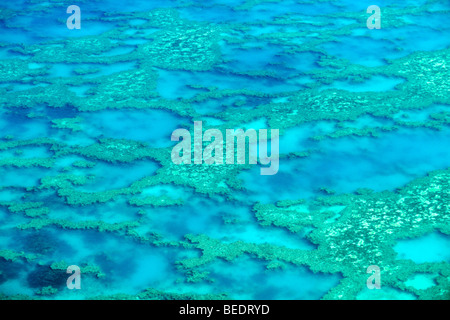 Vista aerea dell'oceano pavimento, gancio Reef, della Grande Barriera Corallina Area del Patrimonio Mondiale, della Grande Barriera Corallina, Patrimonio Mondiale dell'UNESCO si Foto Stock