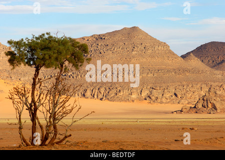 Pesantemente eroso la gamma della montagna nel Sahara, Fezzan, Libia, Africa Foto Stock