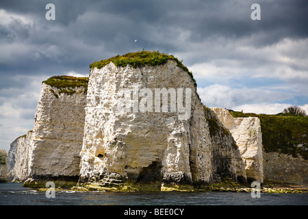 Chalk pile e scogliere noto come Old Harry rocce al punto Handfast. Il Dorset Jurassic Coast. Regno Unito. Foto Stock