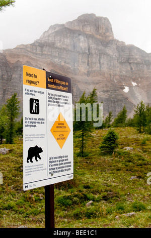 Bear sign in Canada Foto Stock