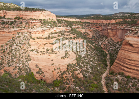 Colorado National Monument vista da Rim Rock superiore comando Ute vista del Canyon situato nelle vicinanze di città di Fruita e Grand Junction Foto Stock