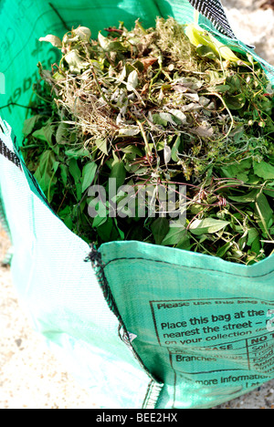 Giardino del riciclo dei rifiuti Sacchetti in giardino Foto Stock