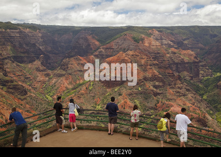 Il Canyon di Waimea dal Canyon di Waimea Lookout Foto Stock