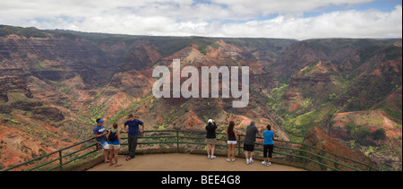 Il Canyon di Waimea panorama dal Canyon di Waimea Lookout Foto Stock