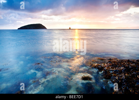 Una vista di Puffin Island all'alba sulla costa di Anglesey nel Galles del Nord. Foto Stock