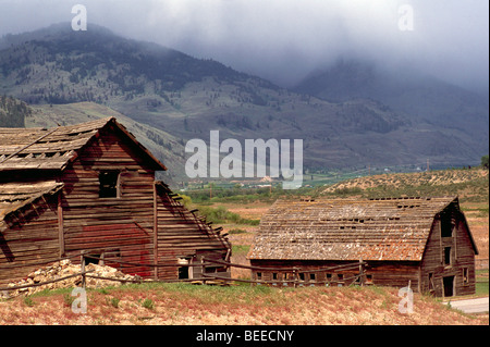 Il legno vecchio Heritage Casa colonica e fienile su Ranch vicino a Osoyoos, BC, Sud Okanagan Valley, British Columbia, Canada Foto Stock