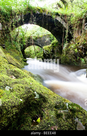 L antico ponte romano sul fiume Machno a Penmachno vicino a Betws y Coed, Snowdonia, il Galles del Nord Foto Stock