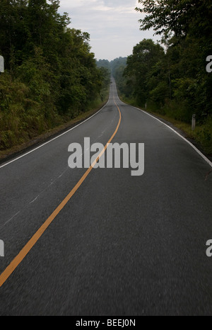 Foto scattata nel Parco Nazionale di Khao Yai, Thailandia. Foto Stock