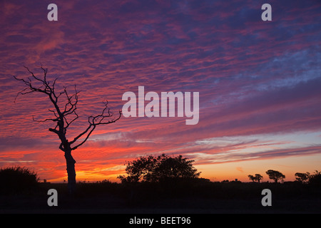 Tramonto in terreni agricoli Gimingham North Norfolk Foto Stock