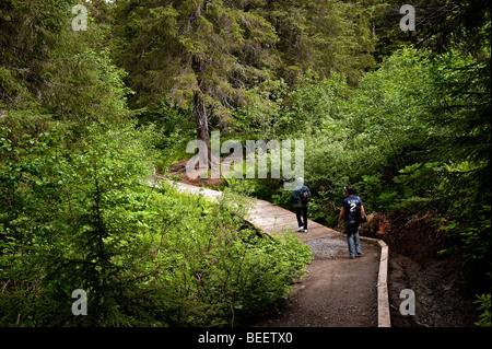 Sentiero escursionistico, vincitore Creek, Chugach National Forest, Alaska, STATI UNITI D'AMERICA Foto Stock