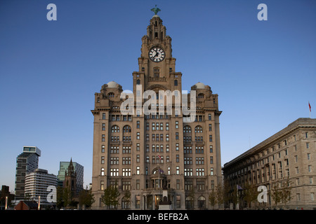Royal Liver Building uno dei liverpools tre grazie edifici elencati sul lungomare di liverpool al Pier Head Foto Stock