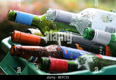 Svuotare le bottiglie di vino in un contenitore di riciclaggio Foto Stock